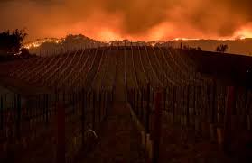 fire vineyard